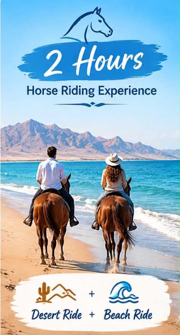 Horse Riding — 2 Hour